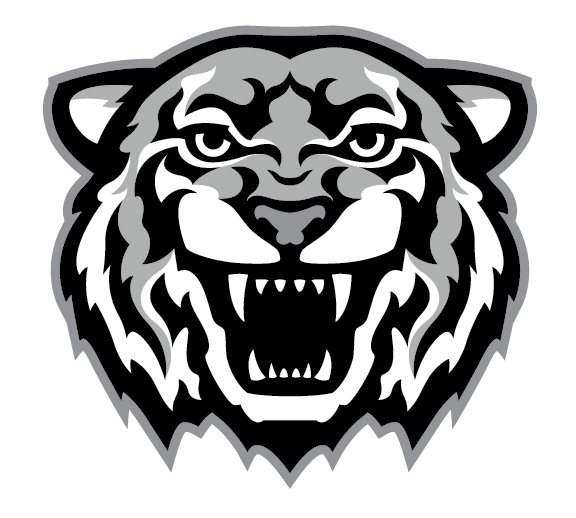 Tiger Mascot